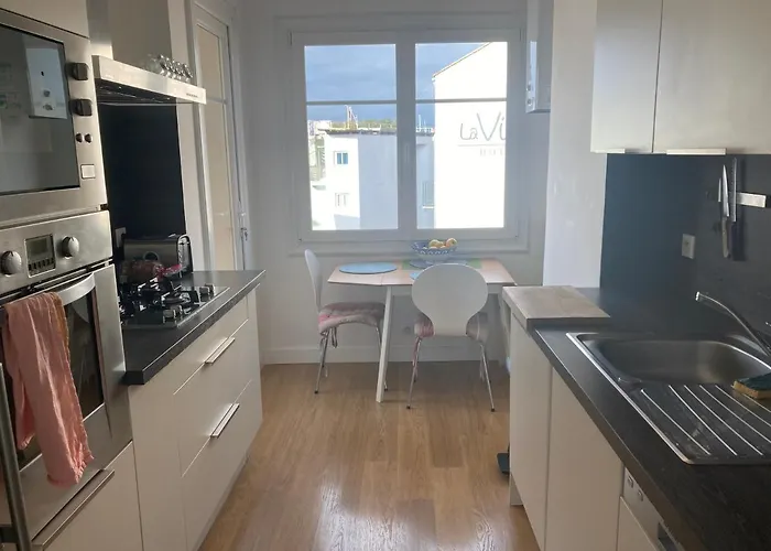 Tortue De Appartement Antibes