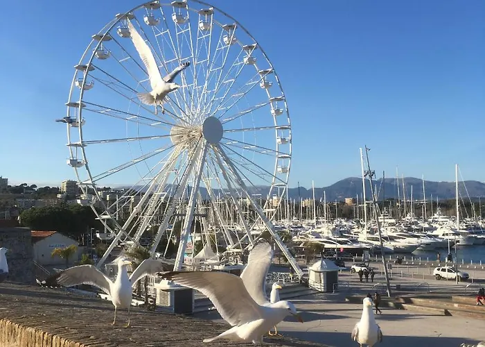 Appartamento Tortue De Antibes