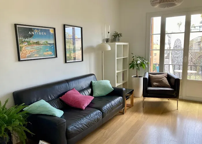 Tortue De Appartement